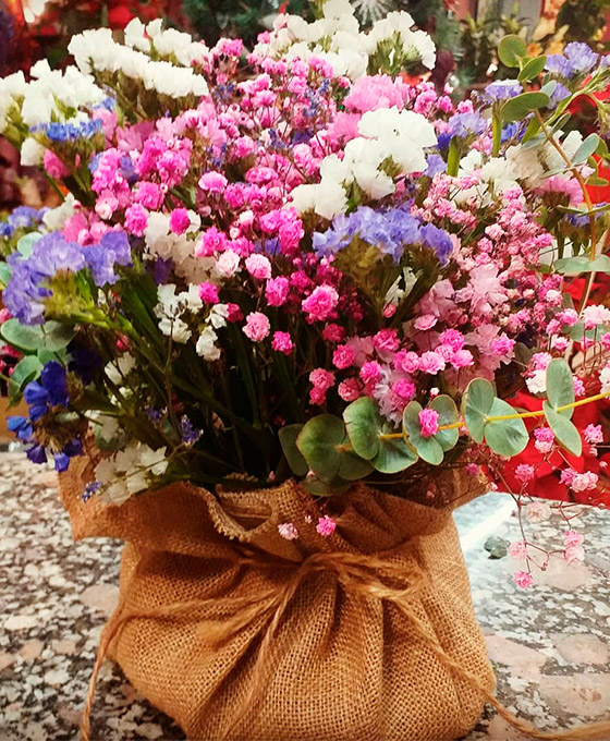 Flores para regalar en Logroño