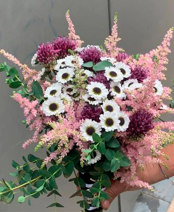 Ramo de margaritas en Logroño